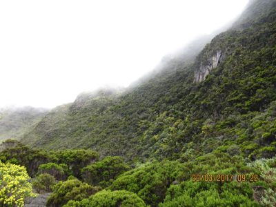 Île de la Réunion — étape 13 : Bourg Murat - Piton de la Fournaise