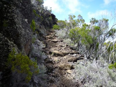 Île de la Réunion — étape 13 : Bourg Murat - Piton de la Fournaise