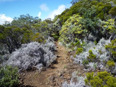 Île de la Réunion — étape 13 : Bourg Murat - Piton de la Fournaise
