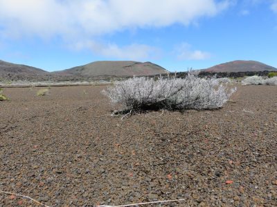Île de la Réunion — étape 13 : Bourg Murat - Piton de la Fournaise