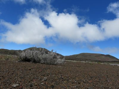 Île de la Réunion — étape 13 : Bourg Murat - Piton de la Fournaise