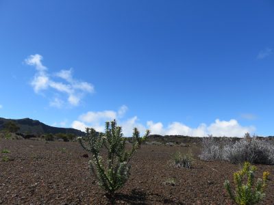 Île de la Réunion — étape 13 : Bourg Murat - Piton de la Fournaise
