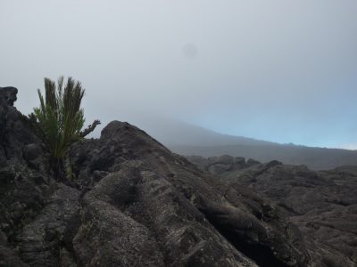 Île de la Réunion — étape 13 : Bourg Murat - Piton de la Fournaise