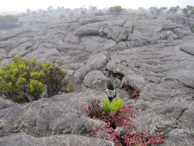 Île de la Réunion — étape 13 : Bourg Murat - Piton de la Fournaise