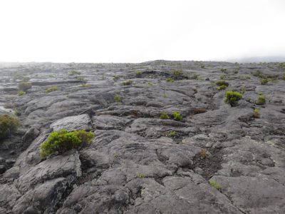 Île de la Réunion — étape 13 : Bourg Murat - Piton de la Fournaise