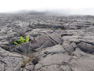 Île de la Réunion — étape 13 : Bourg Murat - Piton de la Fournaise