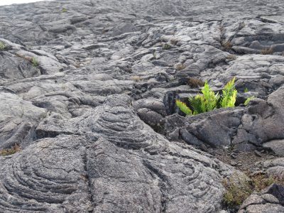 Île de la Réunion — étape 13 : Bourg Murat - Piton de la Fournaise