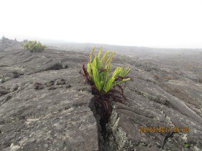 Île de la Réunion — étape 13 : Bourg Murat - Piton de la Fournaise