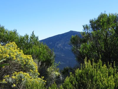 Île de la Réunion — étape 14 : Piton de la Fournaise - Basse vallée - Vincendo
