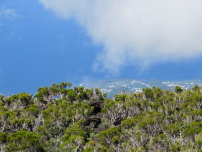 Île de la Réunion — étape 14 : Piton de la Fournaise - Basse vallée - Vincendo
