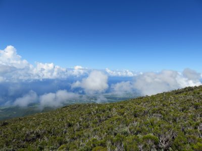 Île de la Réunion — étape 14 : Piton de la Fournaise - Basse vallée - Vincendo