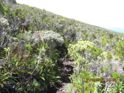 Île de la Réunion — étape 14 : Piton de la Fournaise - Basse vallée - Vincendo