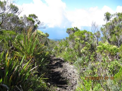 Île de la Réunion — étape 14 : Piton de la Fournaise - Basse vallée - Vincendo