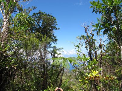 Île de la Réunion — étape 14 : Piton de la Fournaise - Basse vallée - Vincendo