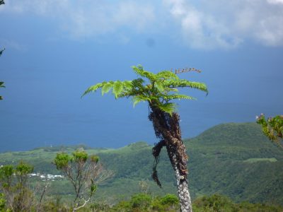 Île de la Réunion — étape 14 : Piton de la Fournaise - Basse vallée - Vincendo