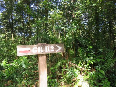 Île de la Réunion — étape 14 : Piton de la Fournaise - Basse vallée - Vincendo