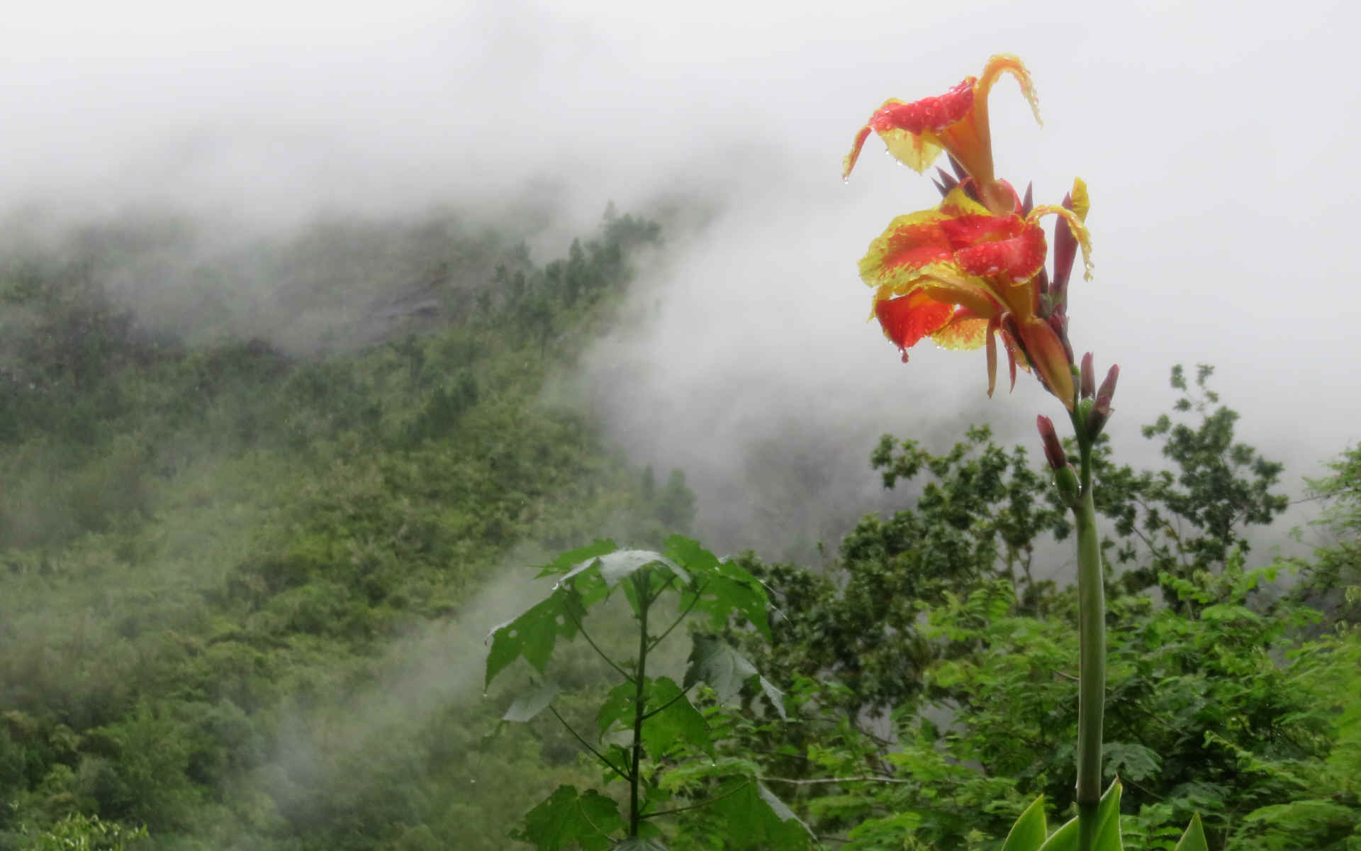 Île de la Réunion — étape 6 : Marla - Cilaos