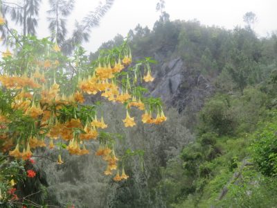 Île de la Réunion — étape 6 : Marla - Cilaos