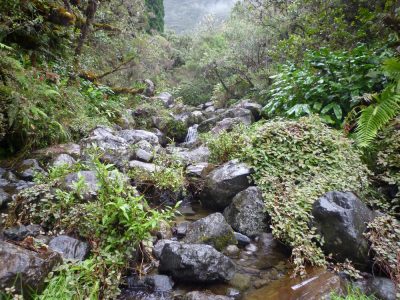 Île de la Réunion — étape 8 : Piton des Neiges - Hell Bourg