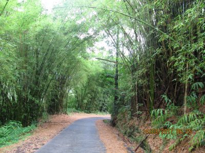 Île de la Réunion — étape 9 : Hell Bourg - Grand Ilet