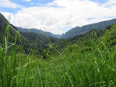 Île de la Réunion — étape 9 : Hell Bourg - Grand Ilet