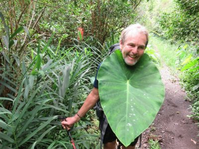 Île de la Réunion — étape 9 : Hell Bourg - Grand Ilet