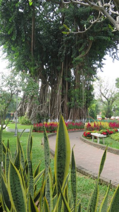 Vietnam du Nord au Sud — étape 10 : Ho Chi Minh - Can Tho