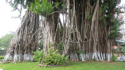 Vietnam du Nord au Sud — étape 10 : Ho Chi Minh - Can Tho