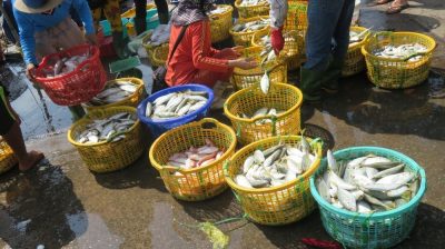 Vietnam du Nord au Sud — étape 11 : Phu Quoc
