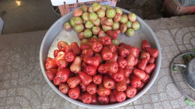Vietnam du Nord au Sud — étape 11 : Phu Quoc
