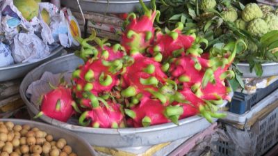 Vietnam du Nord au Sud — étape 11 : Phu Quoc