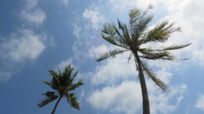 Vietnam du Nord au Sud — étape 11 : Phu Quoc