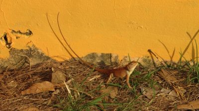 Vietnam du Nord au Sud — étape 11 : Phu Quoc