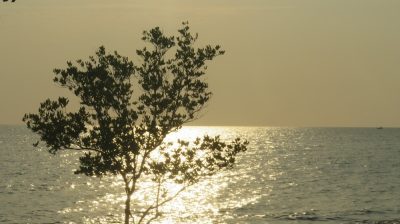 Vietnam du Nord au Sud — étape 11 : Phu Quoc