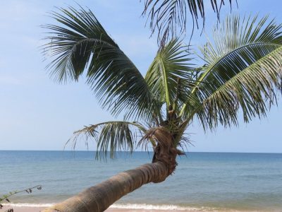 Vietnam du Nord au Sud — étape 11 : Phu Quoc
