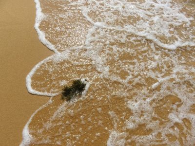 Vietnam du Nord au Sud — étape 11 : Phu Quoc