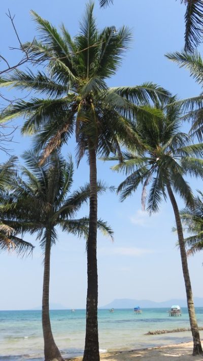 Vietnam du Nord au Sud — étape 11 : Phu Quoc