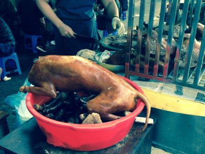 Vietnam du Nord au Sud — étape 12 : Hanoi