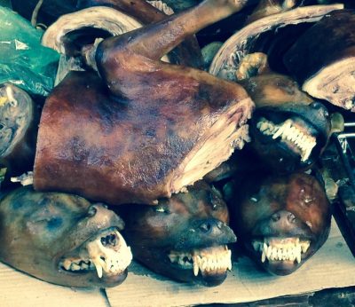 Vietnam du Nord au Sud — étape 12 : Hanoi