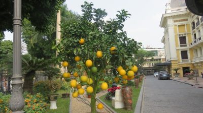 Vietnam du Nord au Sud — étape 12 : Hanoi