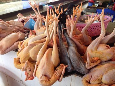Vietnam du Nord au Sud — étape 2 : Sa Pa
