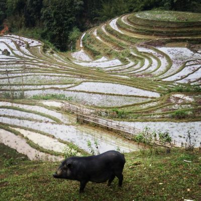 Vietnam du Nord au Sud — étape 2 : Sa Pa