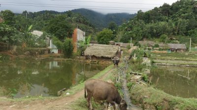 Vietnam du Nord au Sud — étape 3 : Ha Giang