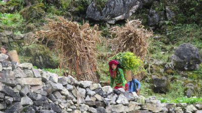 Vietnam du Nord au Sud — étape 3 : Ha Giang