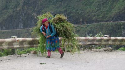 Vietnam du Nord au Sud — étape 3 : Ha Giang