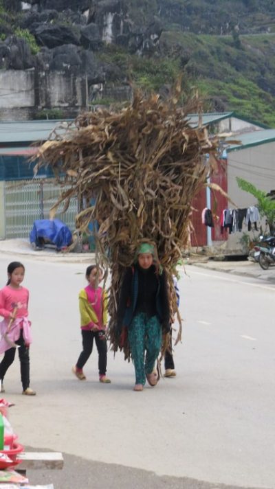 Vietnam du Nord au Sud — étape 3 : Ha Giang
