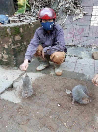 Vietnam du Nord au Sud — étape 3 : Ha Giang