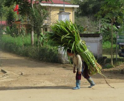 Vietnam du Nord au Sud — étape 3 : Ha Giang