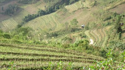Vietnam du Nord au Sud — étape 3 : Ha Giang