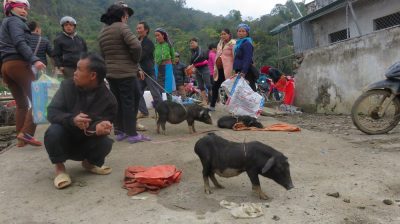 Vietnam du Nord au Sud — étape 3 : Ha Giang
